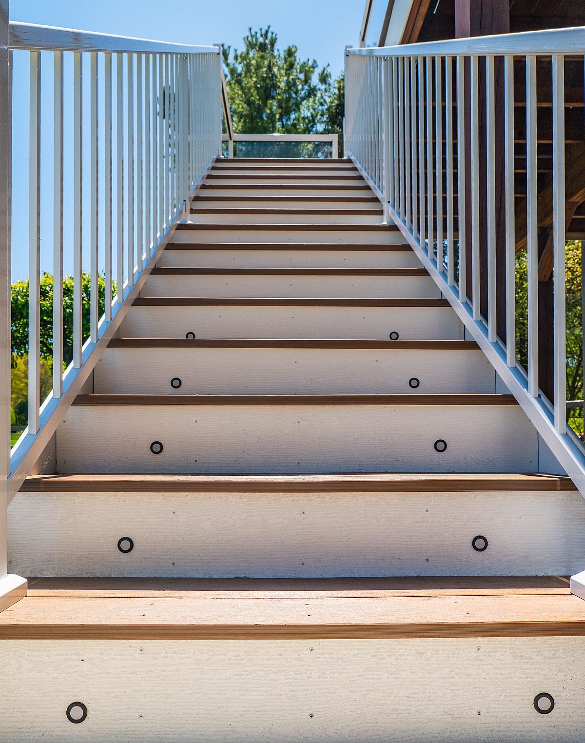 A close-up view of the 13 Green Shield Tigerwood stairs featuring custom white risers and integrated riser lighting. This layout is reliably engineered to blend with the top deck and its white baluster railings.