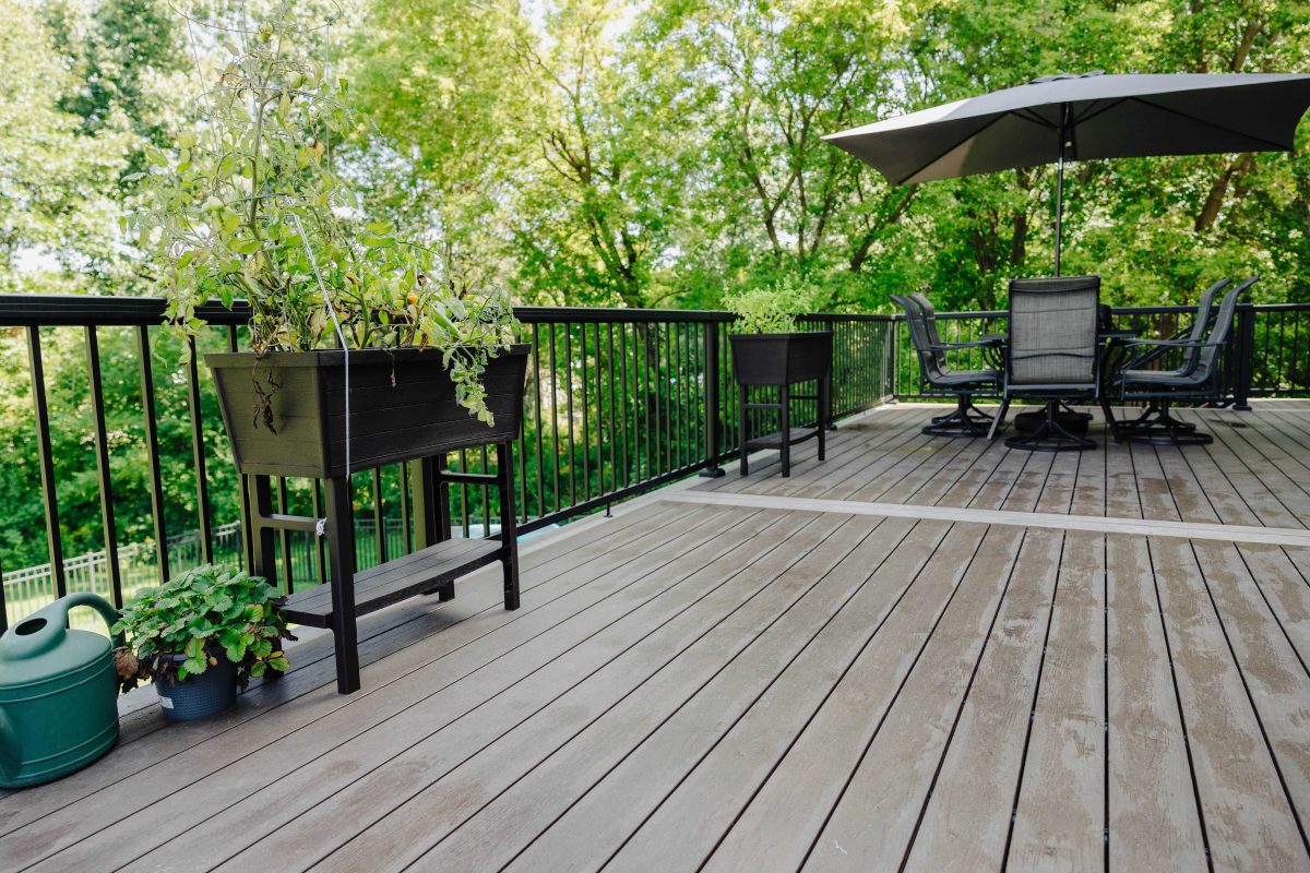 2024 08 19 Green Shield Look Book Shoot 2 Photos 47 Compressed