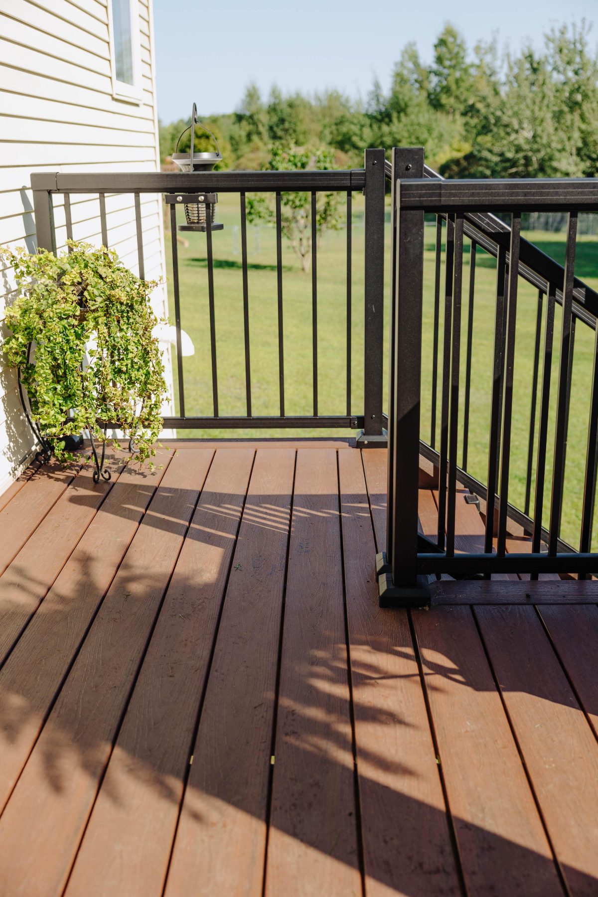 2024 08 19 Green Shield Look Book Shoot 2 Photos 34