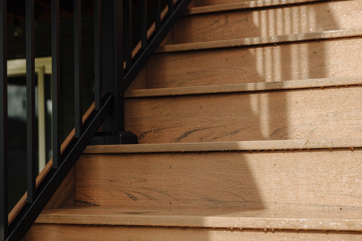 2024 09 16 Green Shield Lookbook Shoot 4 Photos 21