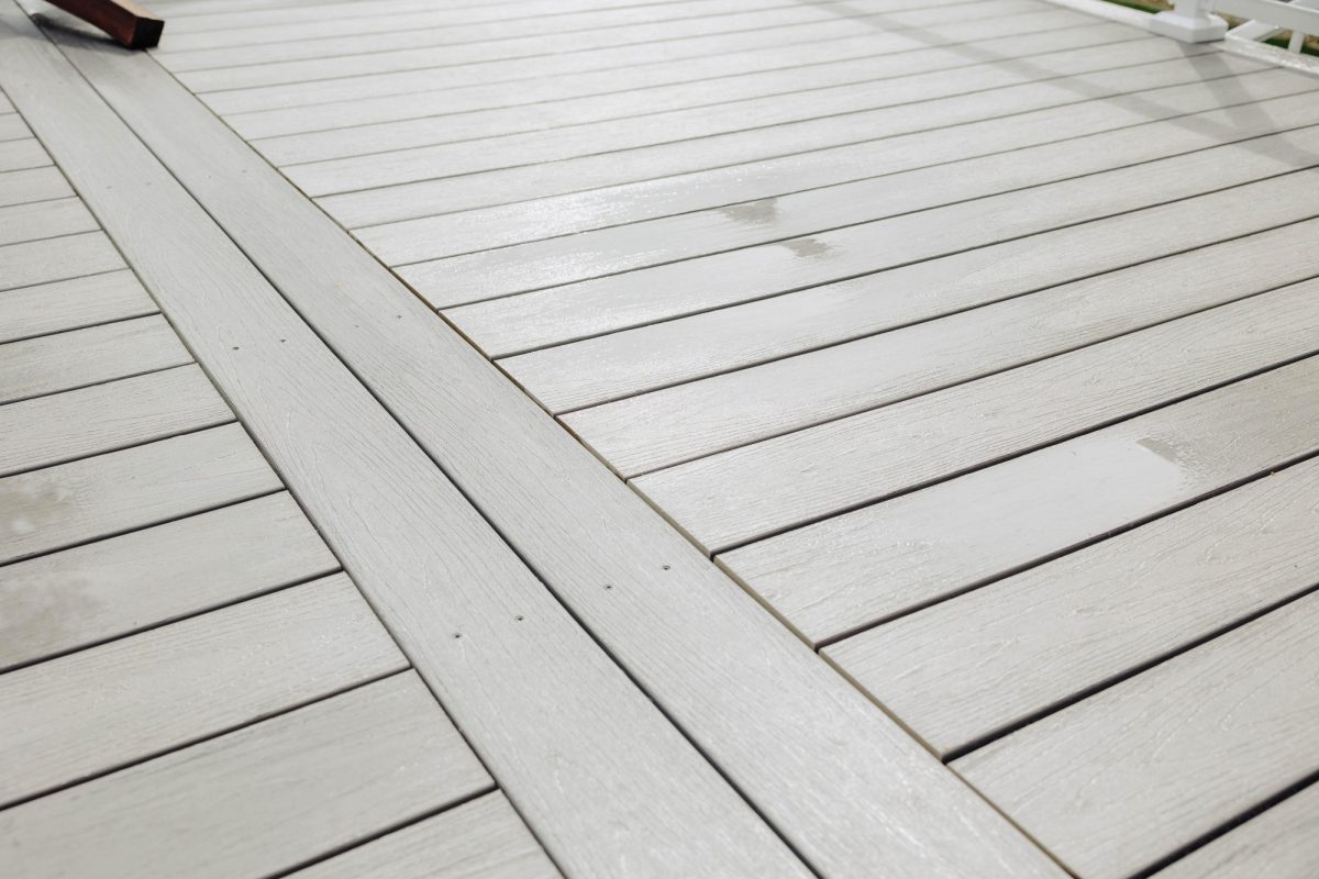 2024 09 16 Green Shield Lookbook Shoot 4 Photos 54