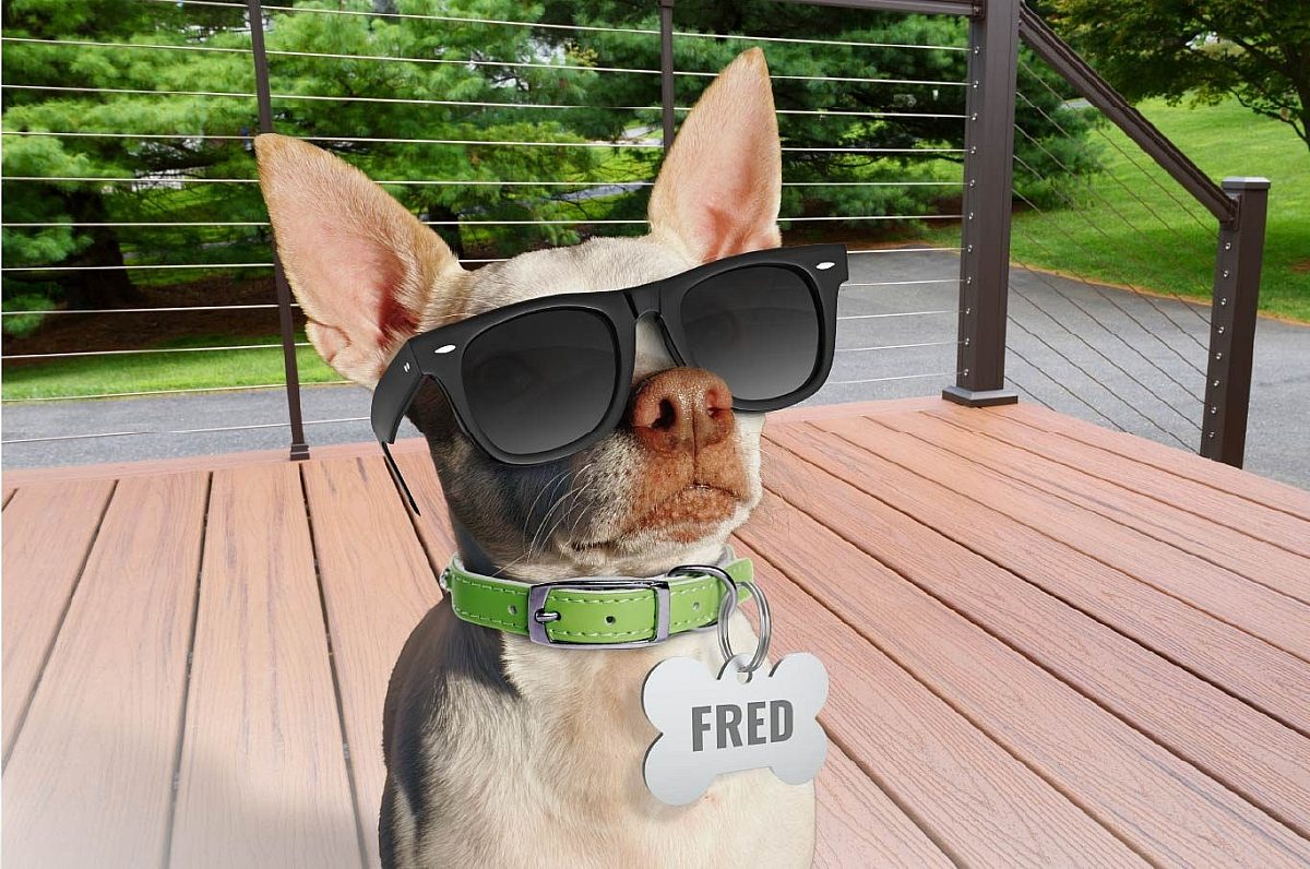 Freds Story Fred on a Deck